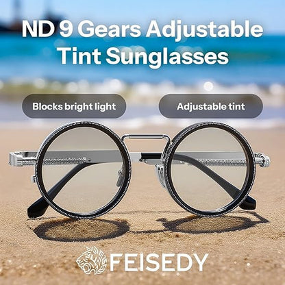 Adjustable Sunglasses 1-9 Gears |Trendy Style Goggles Rounded Polarized Glasses